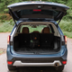 Illustration for article titled The 2019 Subaru Forester Looks Tougher and Rides Better, but Is Desperate for Powerem/em